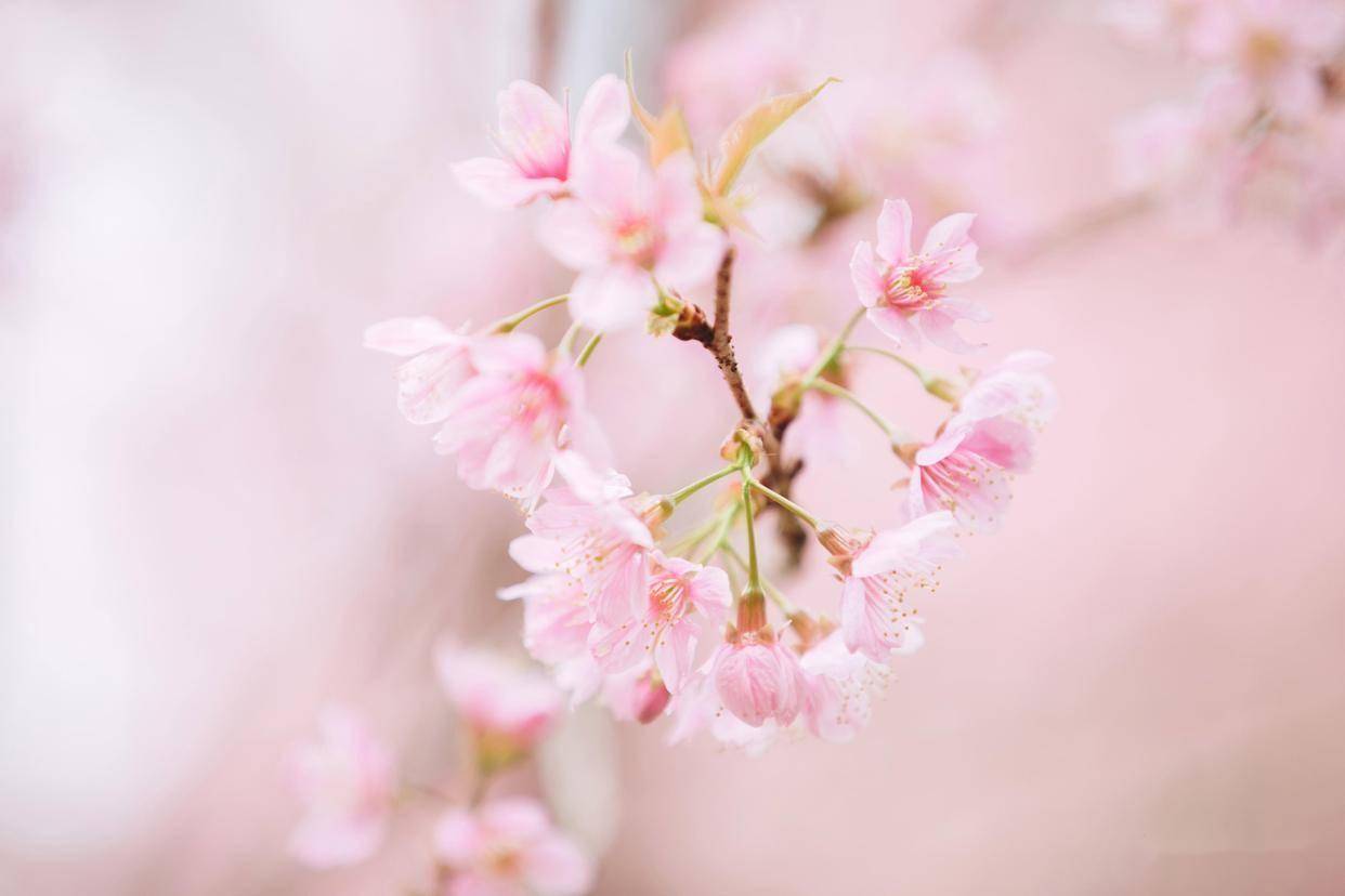 男人若没有3个主动，就不是真的喜欢，而是想要玩玩