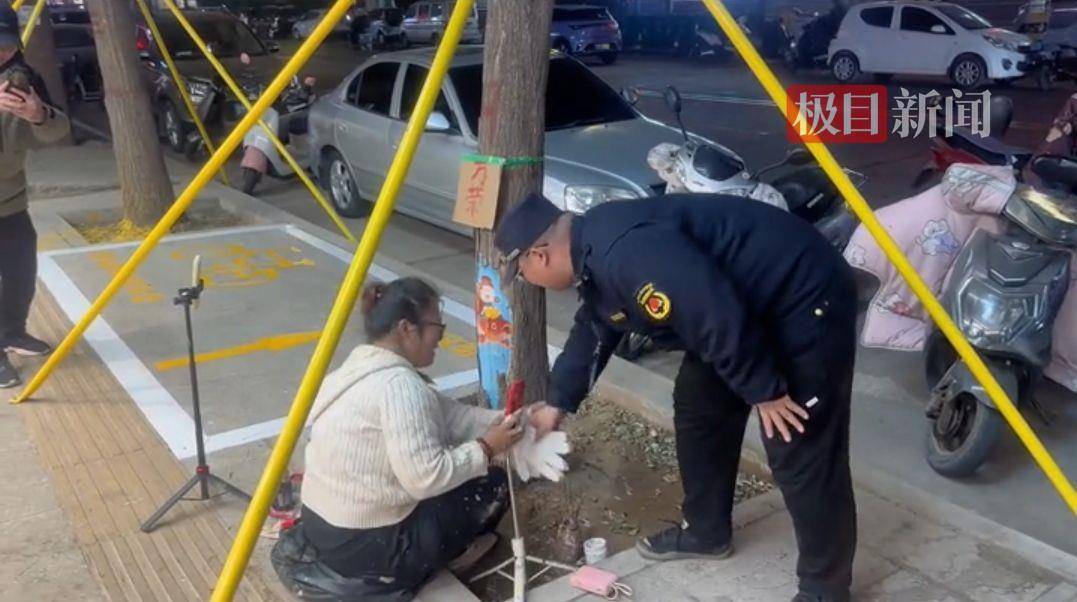 女画家在街边树洞上作画，城管给她送上手套保暖
