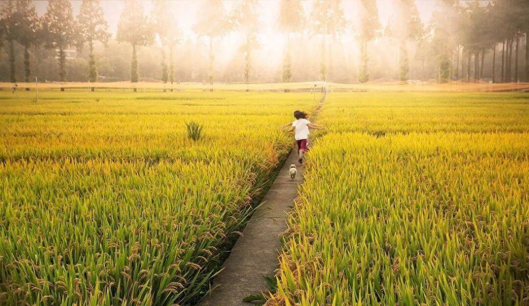 听劝！早上起床后，尽量少吃这5类早餐！别为疾病埋下隐患！