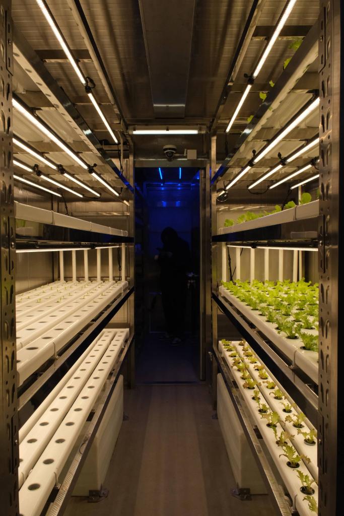 告诉雪龙号，大洋极地也能种菜了