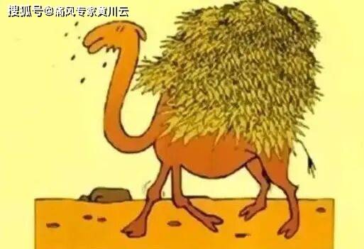 痛风者的“运动黑名单”：这2种运动越做越伤肾！正确排酸应做这3个“静态动作”