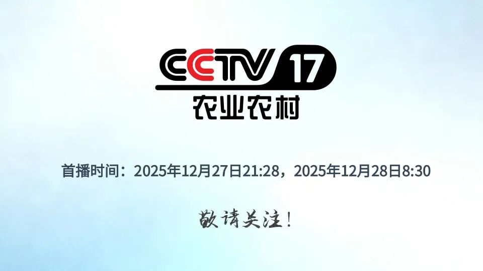 慕田峪脚下的特产狂欢！渤海镇这群能人，把小麦、板栗玩出天花板