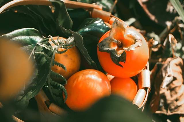 【冬季养生】润肺、养心、清肠道：柿子里竟藏着三副药