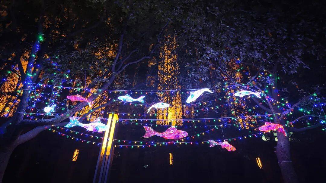 家门口的灯光艺术！第五届万里灯光艺术季解锁冬日浪漫