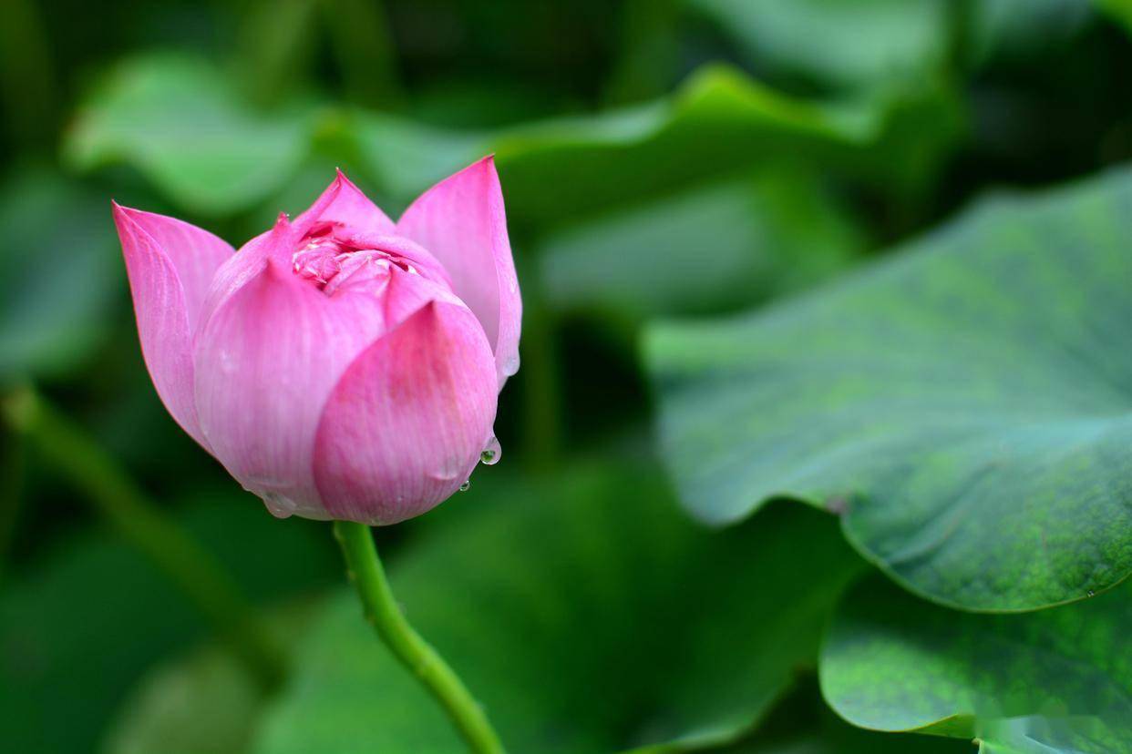 说白了，男人真正的好感和喜欢，是这样的，可惜很多人不懂