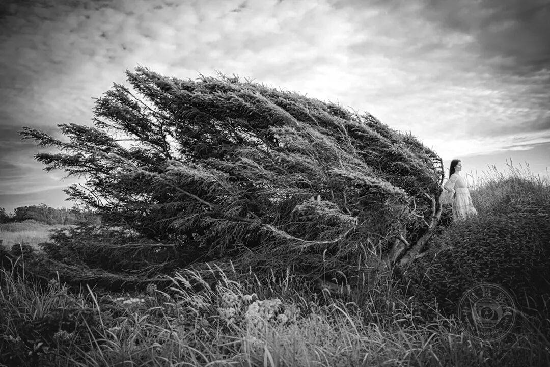 五位中国摄影师获奖，2025年黑白摄影大赛（艺术组）获奖作品公布（下）