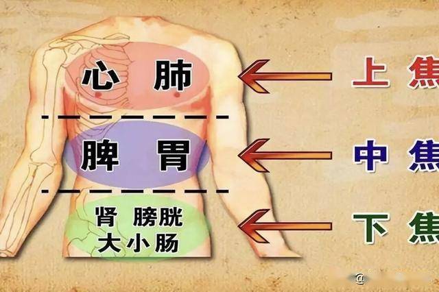 上热下寒别乱吃药！根源是中焦堵了，打通枢纽寒热自消，在家能调