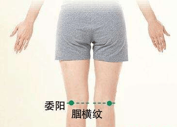 【特效穴】藏在腿窝里的“祛湿开关”：委阳穴！按一按，通利三焦，腰腿轻松、小便更通畅