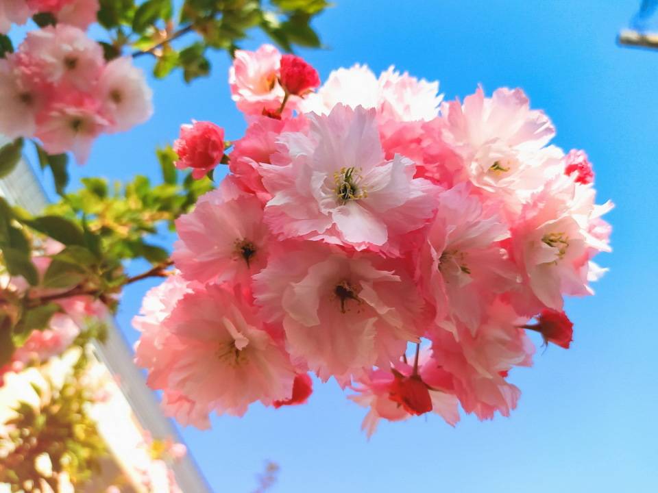 原创            临近婚期，表姐和男朋友闹分手，原因是婚后谁来管钱！