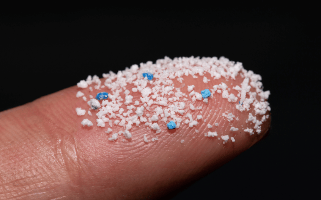 微塑料悄悄“跑全身”！这3类食物排毒能帮大忙