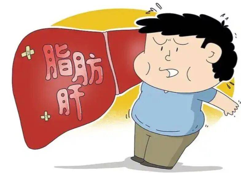 瘦子也会得脂肪肝？这份科学预防指南请收好