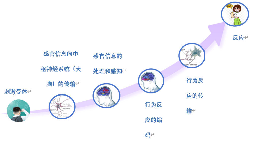 【国际残疾人日】换个视角理解孤独症：孤独症谱系障碍的神经多样性