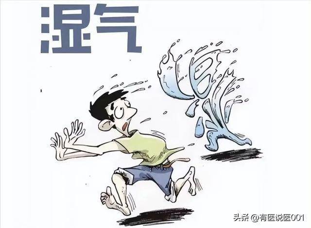 祛湿总反复？搞懂“瘀血不化水湿不尽”，掌握“阴从阳化”才治本