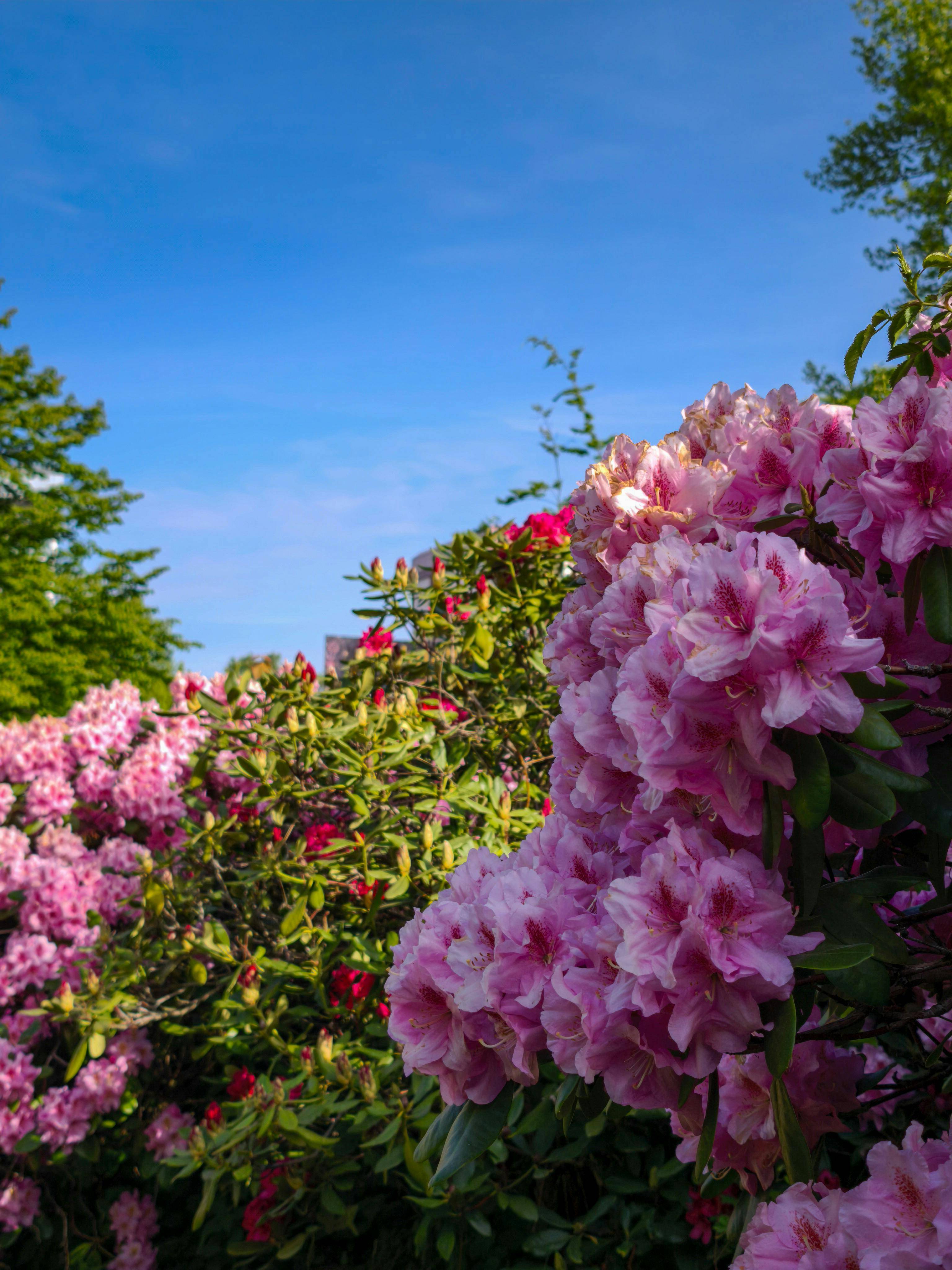 如何通过理解打破固执观点？科学揭示沟通新策略！
