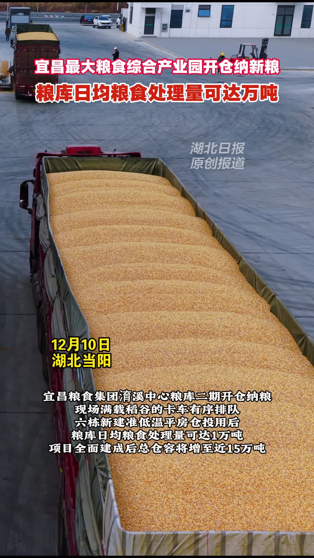 宜昌最大粮食综合产业园开仓纳新粮