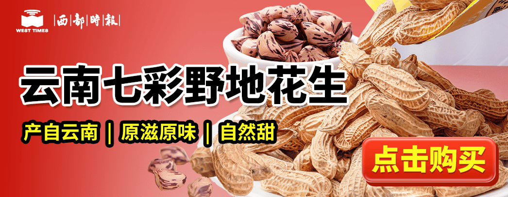 萨孜湖畔的“小天鹅”——记托里县小天鹅传统艺术团二三事