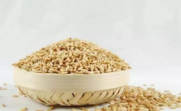 意想不到！小小燕麦竟可以帮90%的脑鸣患者改善