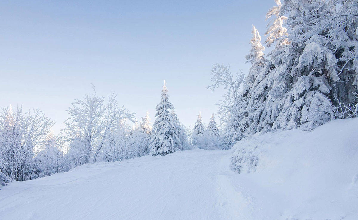 原创            大雪后要养“气血”，少吃鸡肉多吃这4样，温而不燥，气血足了，免疫强了，为数九天做准备
