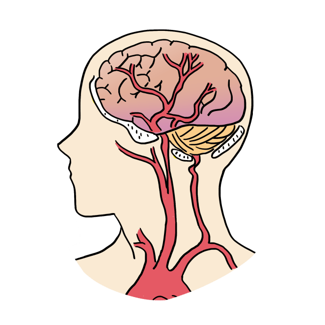 看视频开倍速会伤害大脑吗？