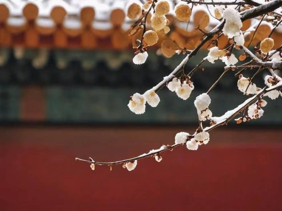 铺就边疆发展“快车道” 绘就区域协同新画卷