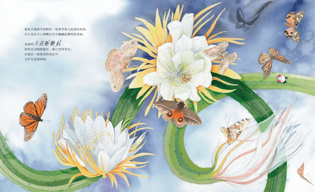 12月，我们选出了这8本新书 | 童书新品第45期