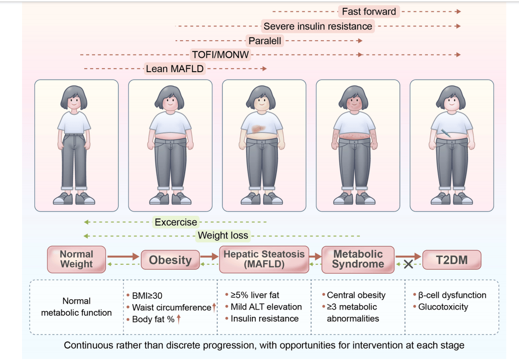 肥胖、脂肪肝、代谢综合征和2型糖尿病是一条藤上的瓜！肥胖相关代谢疾病应视为连续疾病谱
