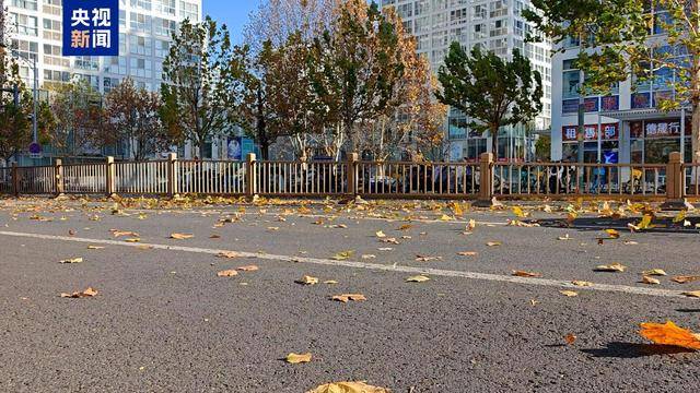 大风蓝色预警！2日白天北京最高气温将跌破0℃