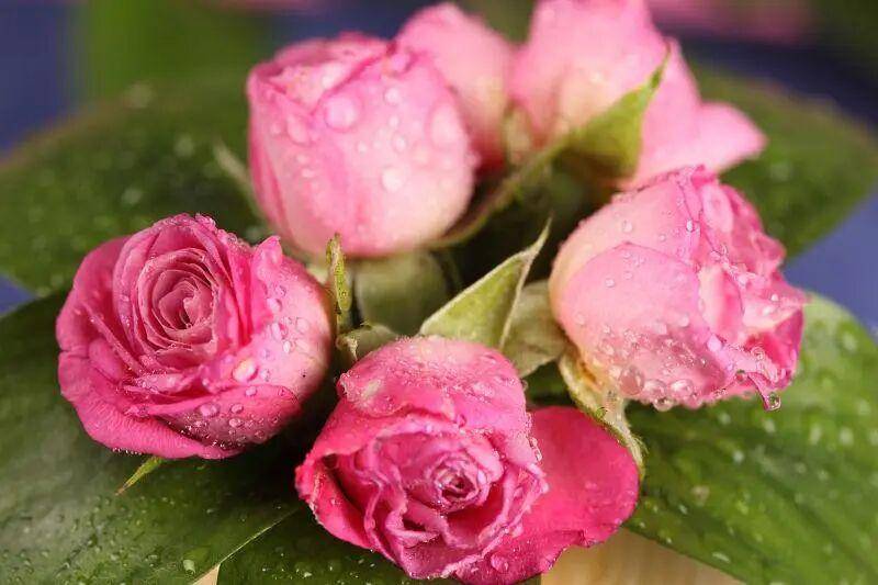 原创            这么对你的男人，只是假装喜欢你，并不是真的爱你