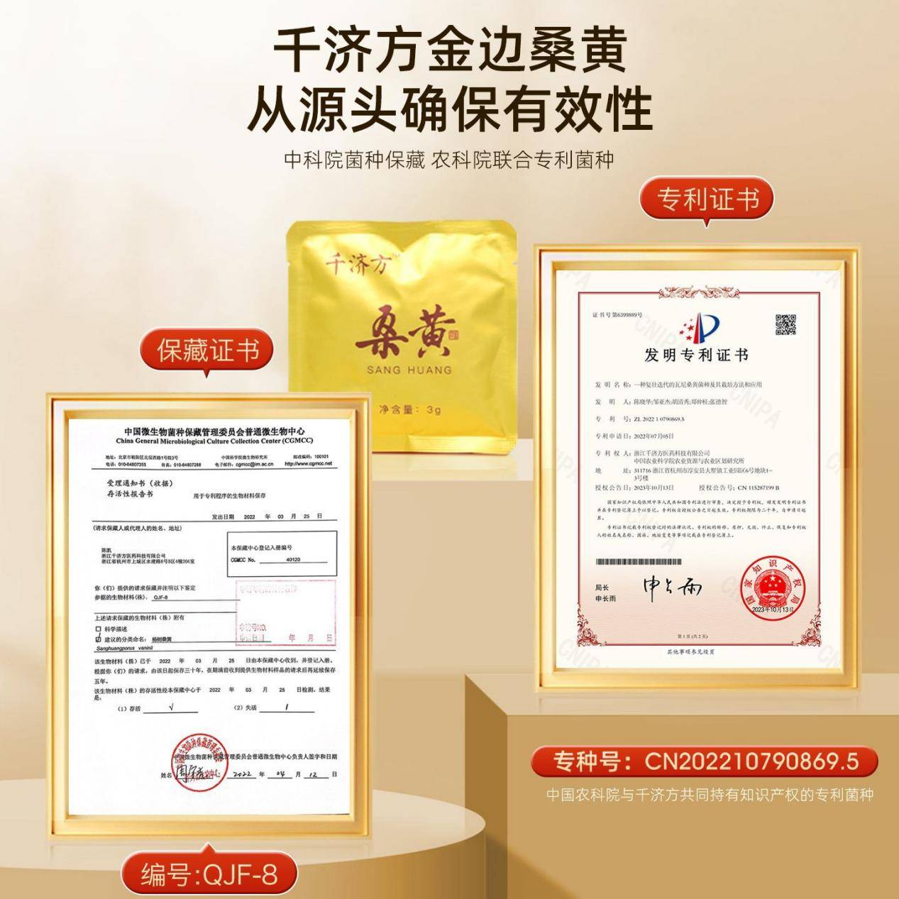 探秘桑黄：被誉为“抗癌世界第一名”的神奇菌类