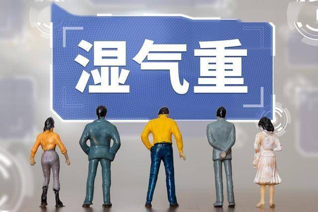 痰湿体质别硬扛！7种常见病症的中药搭配方案，祛湿化痰标本兼治