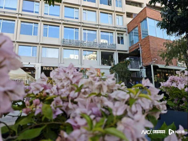 “画”出音乐 “植”入美好 ，梅林街道艺术花箱点亮街区