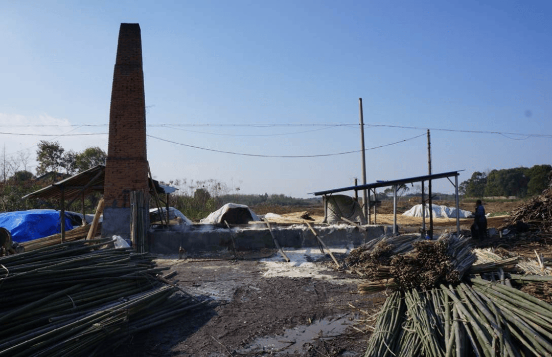 竹境竹建筑：革命性原竹处理技术，大幅延长竹建筑使用寿命，引领行业发展