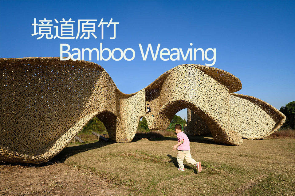 探讨原竹性价比怎么样，了解其真实价值