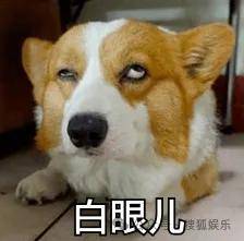 原创            专挑富男撩？她被贵妇点名且成“名媛公敌”了......