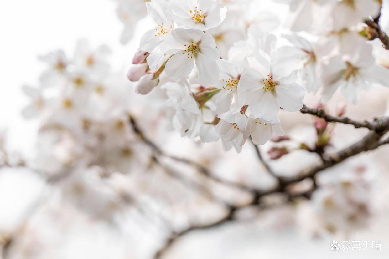 原创            一个男人允许你触碰这几个“底线”，就是爱你入骨，把你当老婆了