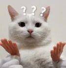 脸肿≠长胖！24岁女子减肥50斤，竟确诊尿毒症！