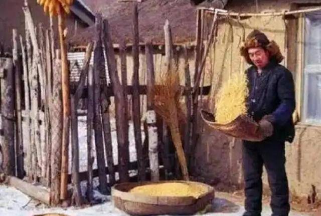86年继父扣下我的录取通知书，二叔提刀去取，如今我已是厅级干部