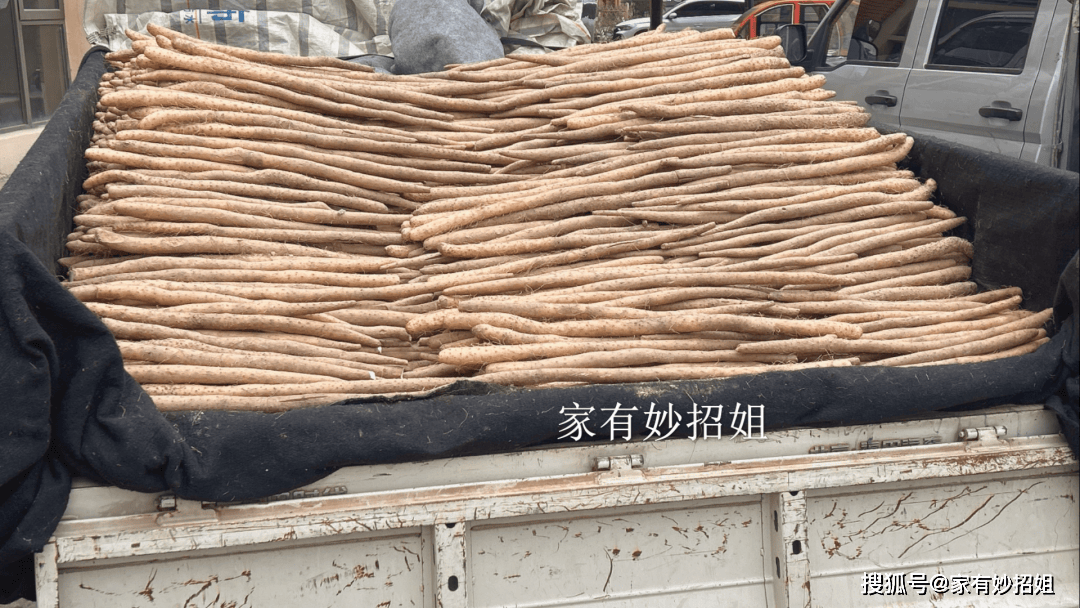 原创            冬日必吃山药有讲究：牢记“四不选”，避开腐烂劣质品