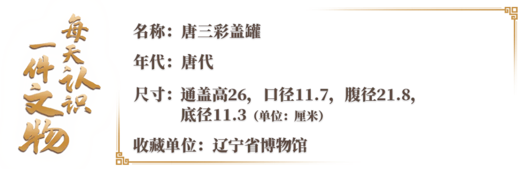文博日历丨陶罐也讲究“穿搭” 来自大唐的陶艺美学