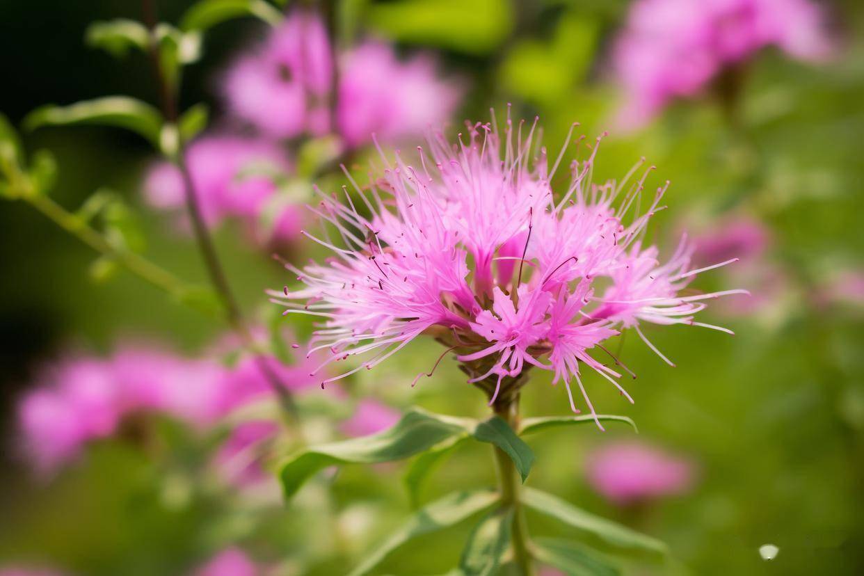 原创            中年男人有这样的举动，是把你当老婆了，别不明白
