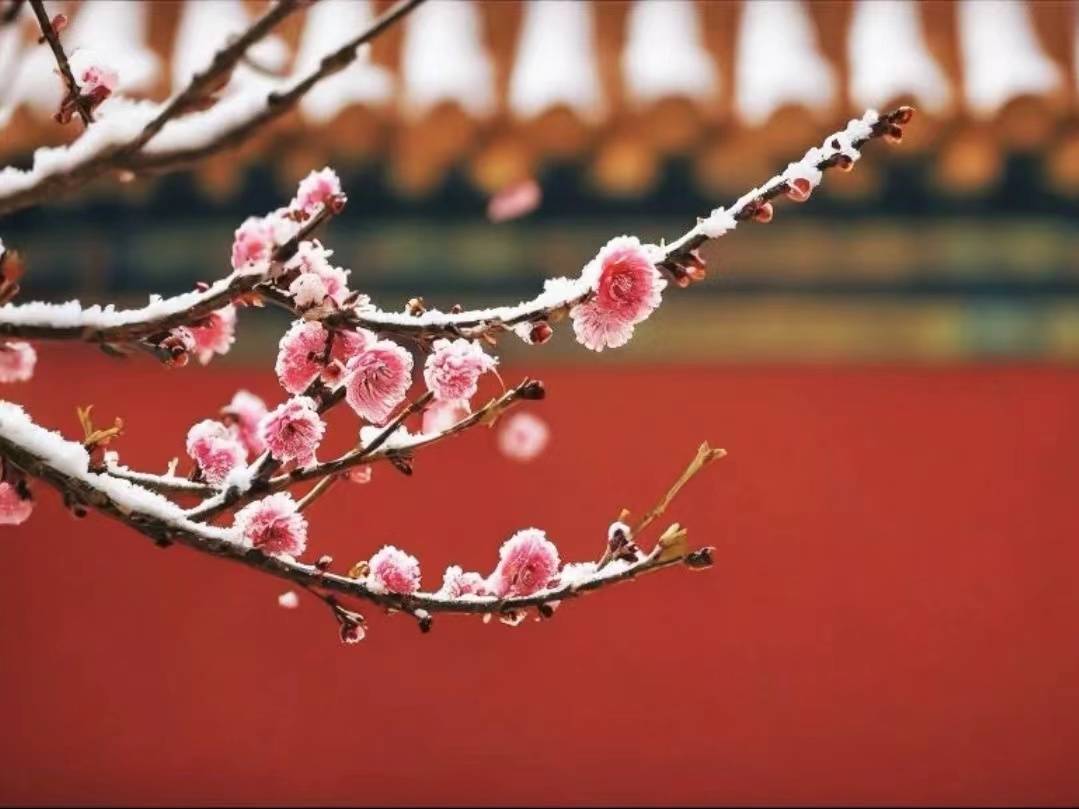 待人以诚，融雪化冰