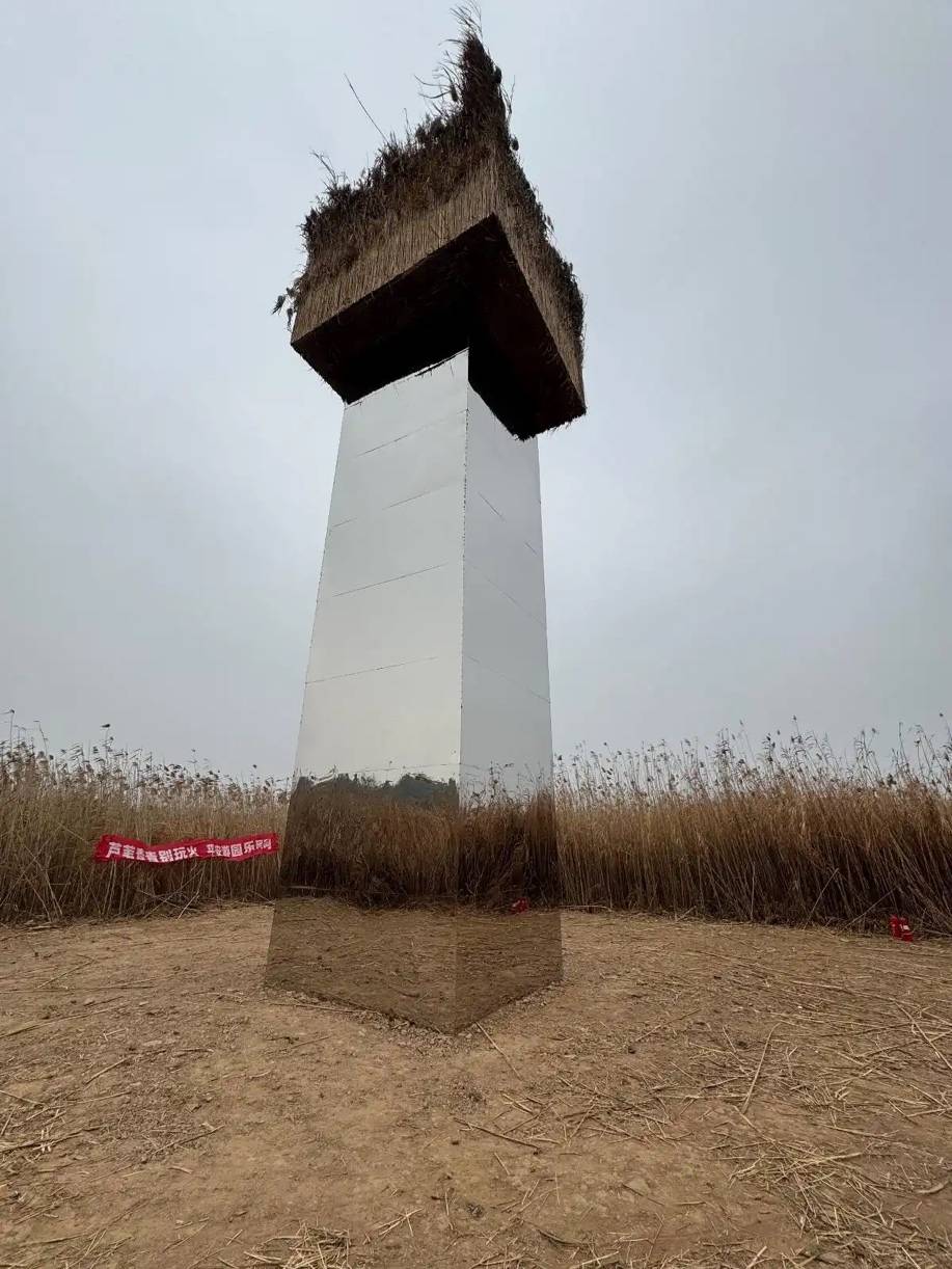 洞庭湖大型反光艺术装置被指威胁候鸟安全，保护区管理局：已拆除