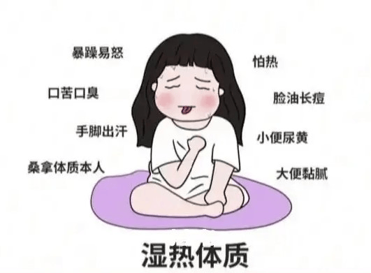 健康科普 | 淤血与湿热体质食养攻略：天然食材吃出健康好气色