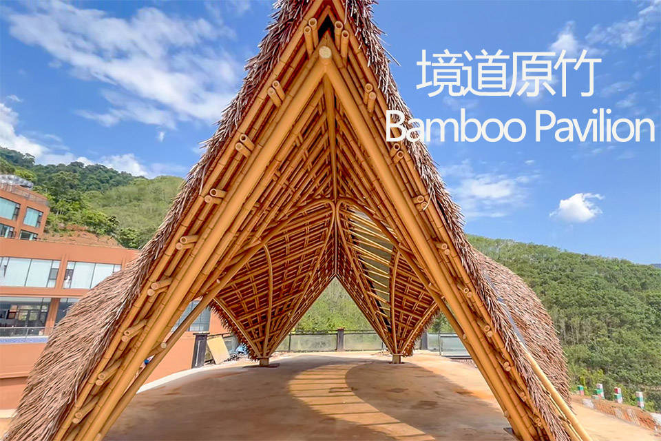 境道原竹的产品线丰富吗？这些产品类型可参考