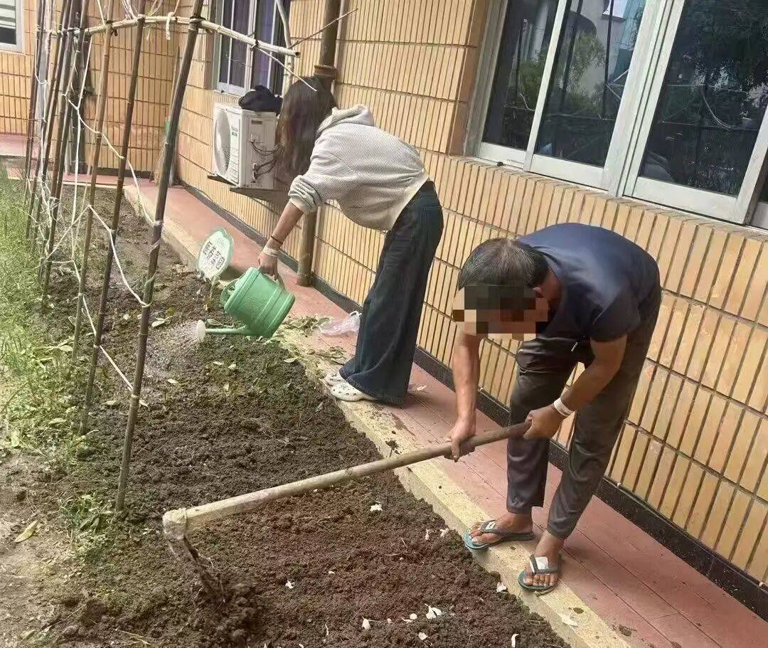 40多岁男子单身多年，焦虑引发失眠，吃药不管用！医生：去种菜