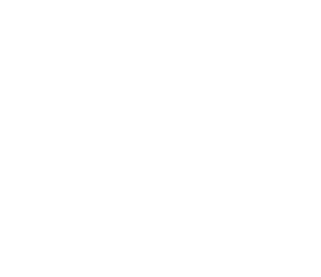 非遗学院 | 薪火少年解锁非遗第十三课 · 灵璧石鉴赏