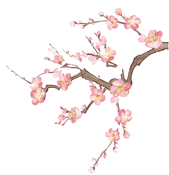 小寒到！藏在厨房的3样“抗寒宝”，赶快吃起来~