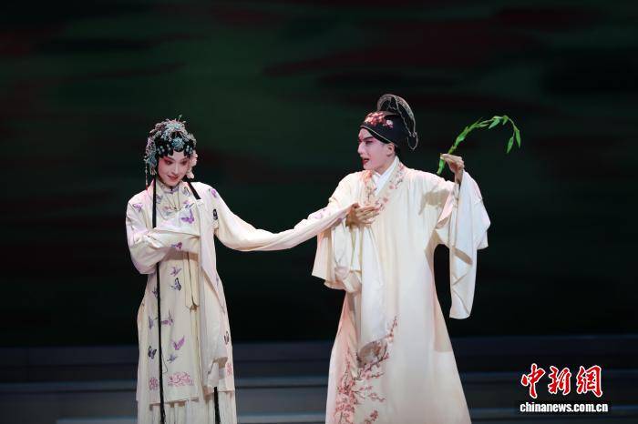 台湾写真：两岸青年传戏韵 牡丹花开绽芳华