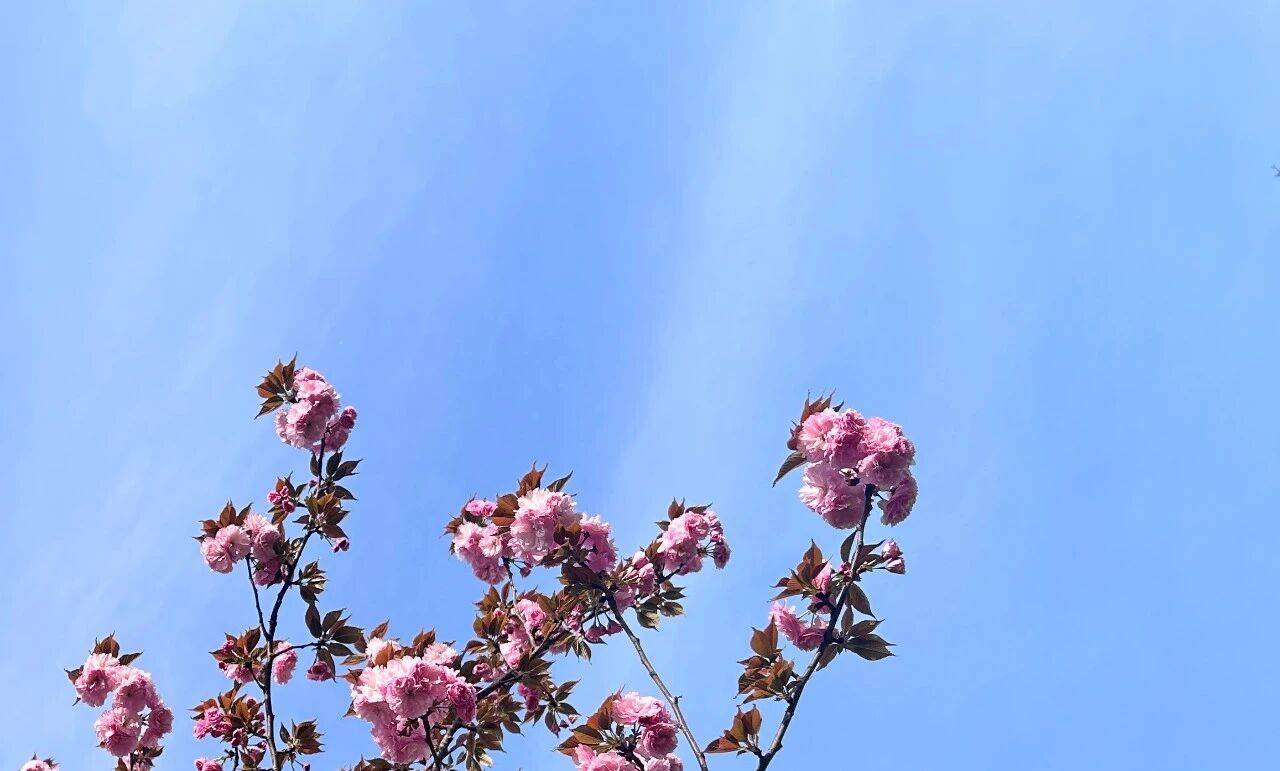 原创            男人有了外心，最期望妻子做以下3件事，原因现实