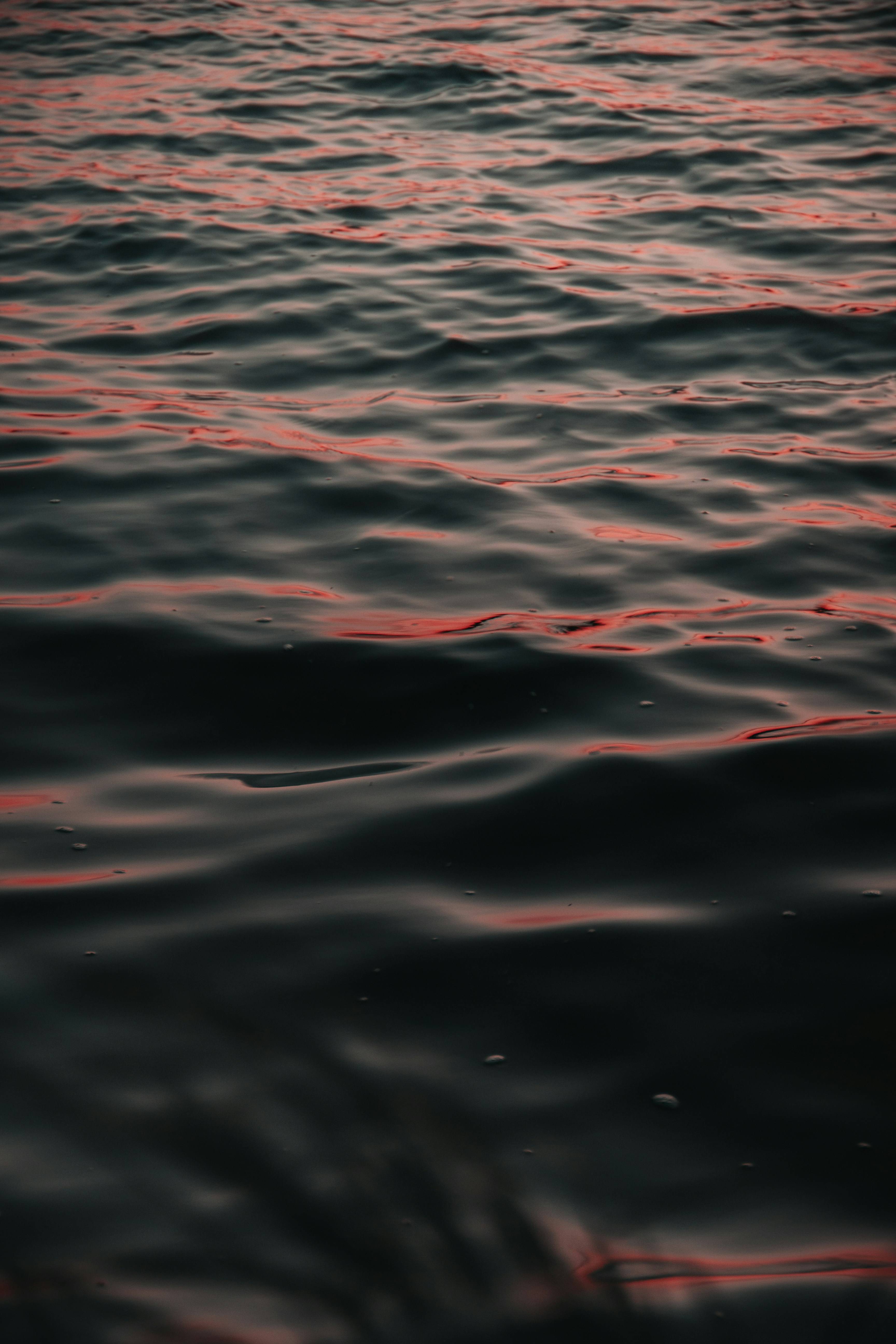 别再被体脂率骗了！这些减肥误区你踩过吗？丁香医生告诉你科学瘦身的真相